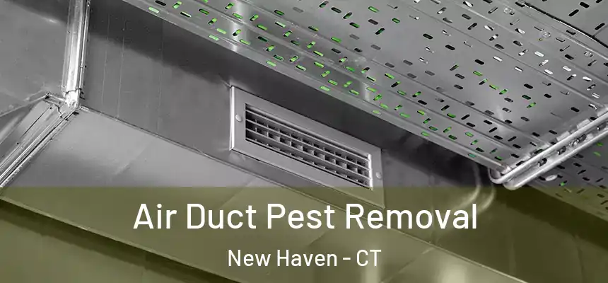  Air Duct Pest Removal New Haven - CT