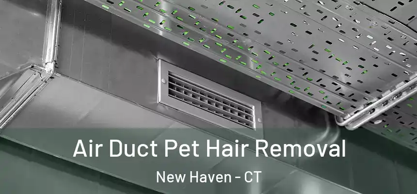  Air Duct Pet Hair Removal New Haven - CT