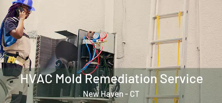  HVAC Mold Remediation Service New Haven - CT