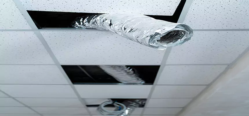 Affordable HVAC Sanitizing After Pest Removal in New Haven