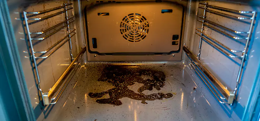 Our Dryer Vent Mold Cleaning Services in New Haven, CT