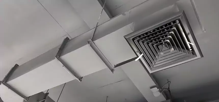 Our Pest Removal From Ducts Services in New Haven, CT