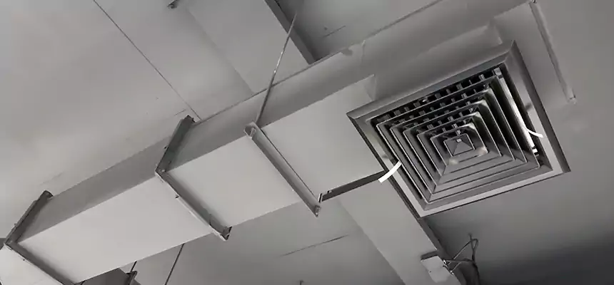 Our Rodent Droppings In Vents Services in New Haven, CT