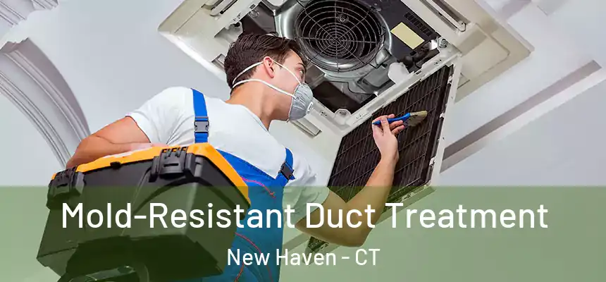  Mold-Resistant Duct Treatment New Haven - CT