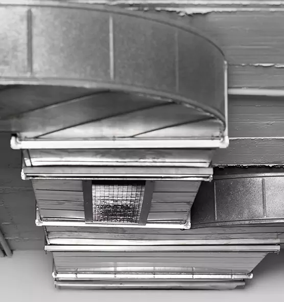 Professional Air Duct Pest Removal in New Haven, CT