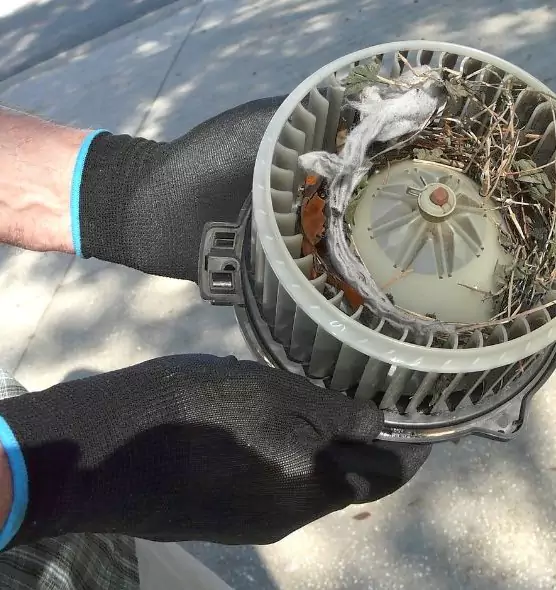 About Air Duct Rat Removal in New Haven, CT