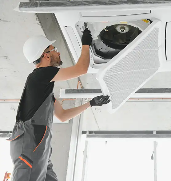 About Air Duct Rodent Removal in New Haven, CT