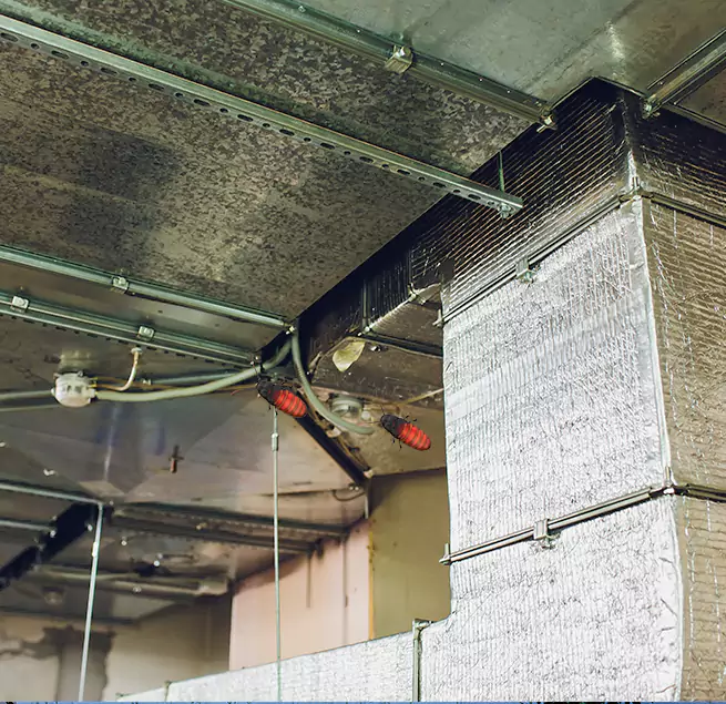 Why Homeowners & Businesses Trust Us in New Haven, CT?