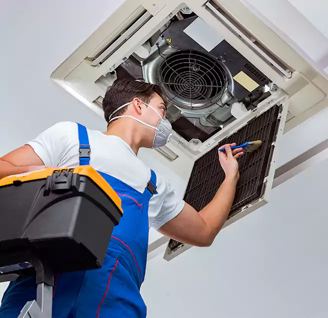 Why Homeowners & Businesses Trust Us in New Haven, CT